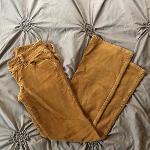 Hollister corduroy pants